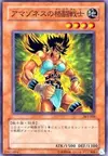 Product image for Amazoness Fighter