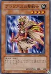 Product image for Amazoness Paladin