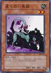 Product image for Dark Cat with White Tail