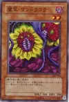 Product image for Magical Plant Mandragola