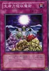 Product image for The Spell Absorbing Life