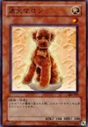 Product image for Outstanding Dog Marron