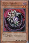 Product image for Witch Doctor of Chaos