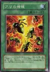 Product image for Multiplication des Fourmis