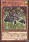 Product image for Dream Cicada