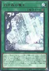 Product image for Witch of the White Forest
