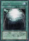 Product image for Ancient Forest
