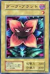 Product image for Dark Plant