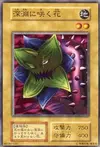 Product image for Abyss Flower