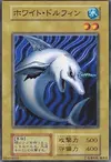 Product image for White Dolphin
