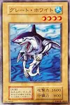 Product image for Great White
