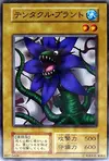 Product image for Tentacle Plant