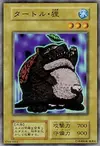 Product image for Turtle Raccoon