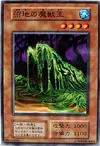 Product image for Beastking of the Swamps