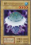 Product image for Jellyfish