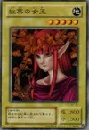 Product image for Queen of Autumn Leaves