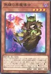 Product image for Skilled Brown Magician