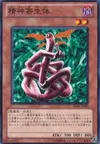 Product image for Kiseitai