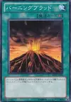 Product image for Molten Destruction