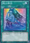 Product image for Soul Release