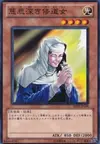 Product image for The Forgiving Maiden