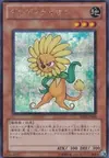 Product image for Dandelion
