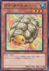 Product image for Gora Turtle