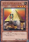 Product image for Pyramid Turtle