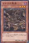 Product image for Swarm of Locusts