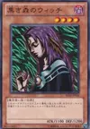 Product image for Witch of the Black Forest