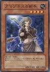 Product image for Amazoness Archer