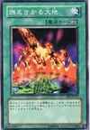Product image for Burning Land