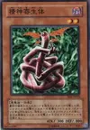Product image for Kiseitai