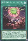 Product image for Activation DoomZ "A.D.R.A.S.T.E.I.A."