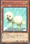 Product image for Chien Mary Exceptionnel