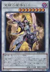 Product image for Paladin de l'Illumination