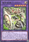Product image for Dracotail Shaulas