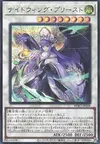 Product image for Nightwinged Cleric