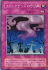 Product image for Call of the Haunted