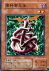 Product image for Kiseitai