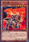 Product image for Brotherhood of the Fire Fist - Bear