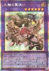 Product image for Charmers of the Grand Circle