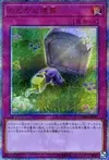 Product image for Sacrifice Paisible