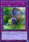 Product image for Sacrifice Paisible