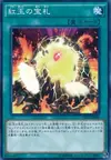 Product image for Cards of the Red Stone
