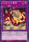Product image for Ferret Flames