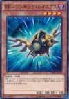 Product image for Raidraptor - Singing Lanius