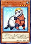 Product image for Rescue Ferret