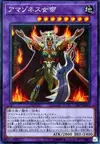 Product image for Amazoness Empress