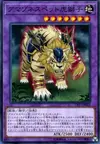 Product image for Amazoness Pet Liger